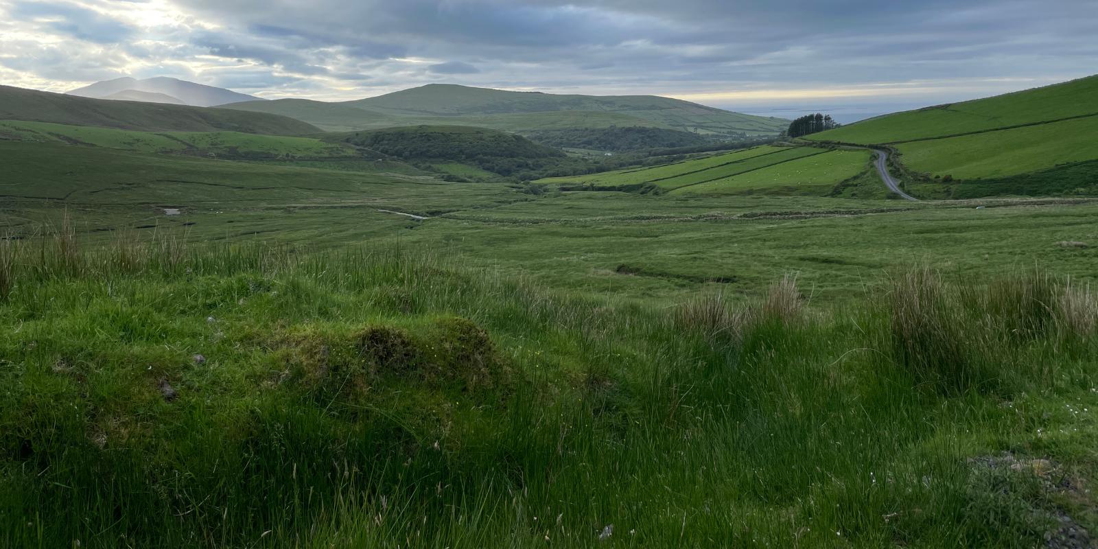 Ann-Marie Toolen | My Innate Vitality| Psych-K®